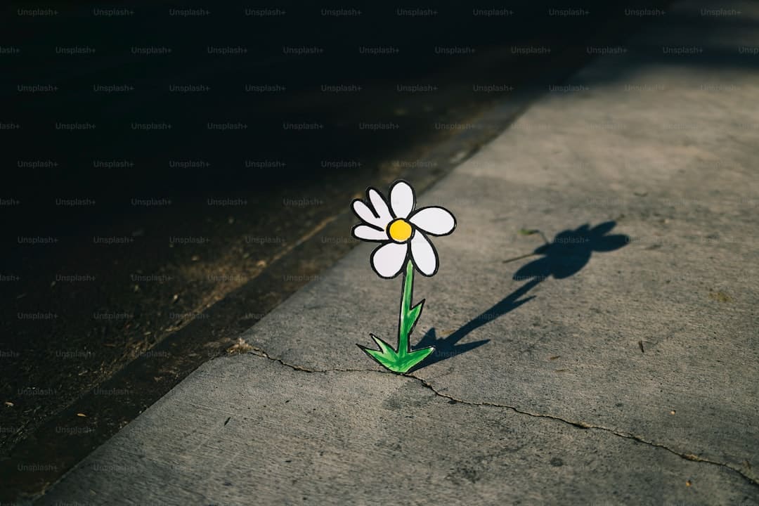 普京与特朗普新一轮会谈何时进行？俄方回应：可能是近期